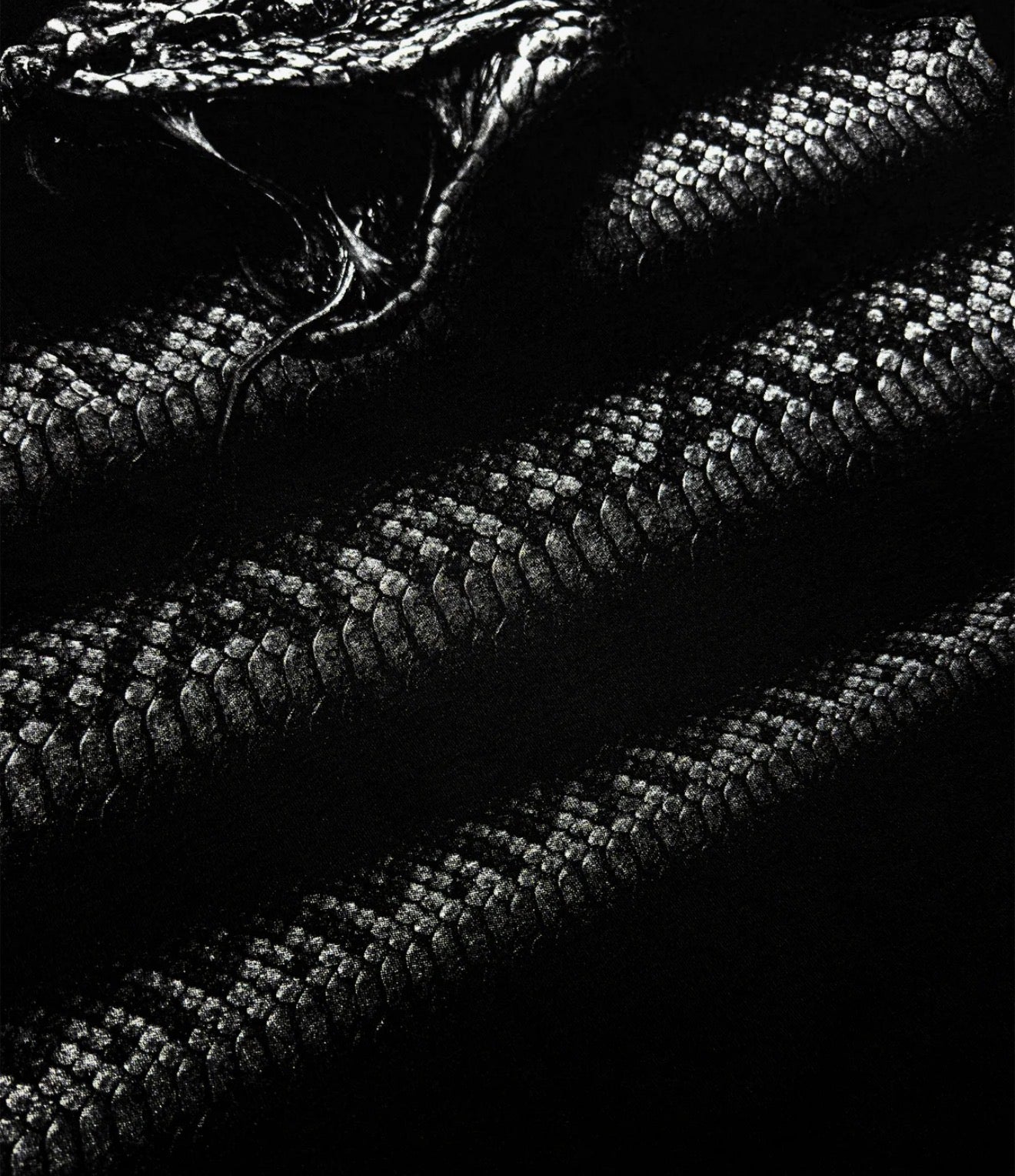 JAYCEEAGE SPIRAL SNAKE TEE